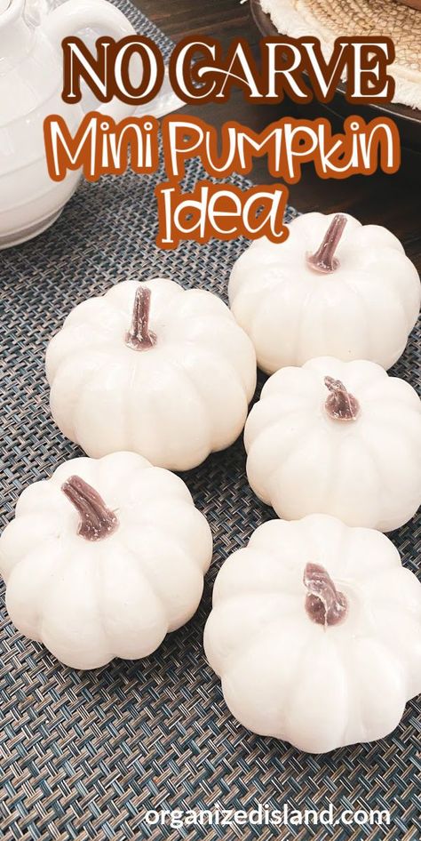 Mini Pumpkin Activities, Decorate Mini Pumpkins, Mini Pumpkin Painting Ideas, Plastic Pumpkins Crafts, No Carve Pumpkin Ideas, No Carve Pumpkin, Pumpkin Spice Soap, Craft Pumpkins, Pumpkin Table Decorations