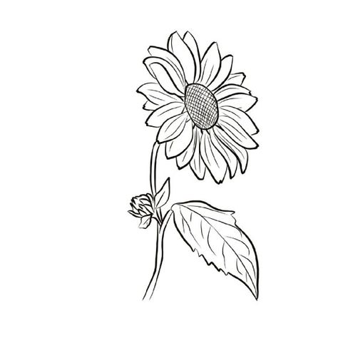 Sunflower Drawing Simple, Sunflower Line Drawing, Sunflower Poem, Sunflower Line Art, Wild Sunflower, Sunflower Drawing, Small Sunflower, Mom Tattoo, Flower Line Drawings