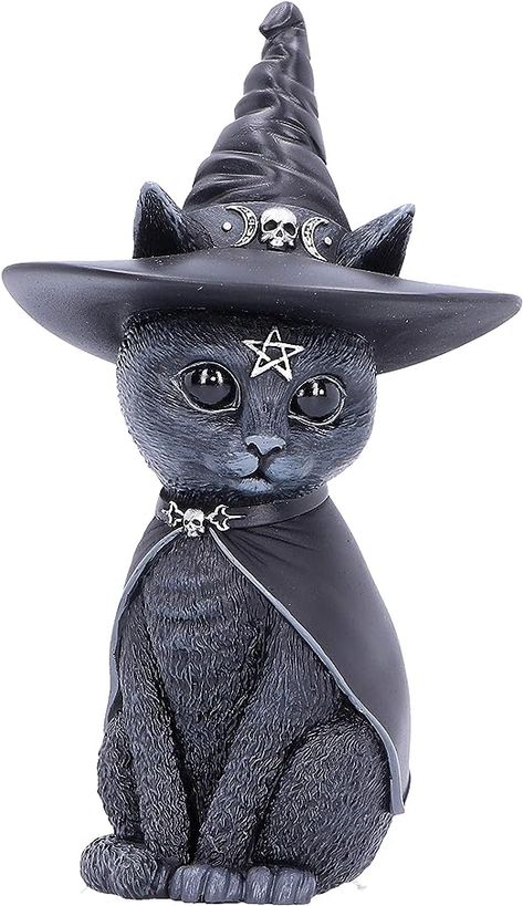 Wild Star, Witch Figurines, Anne Stokes, Dark Angels, Witches Hat, Small Skull, Witch Cat, Black Kitten, Cat Statue