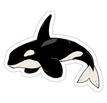 Orca Whale Sticker Orca Sticker, Car Anime, Background Room, Whale Sticker, Room Cartoon, Homemade Stickers, Orca Whale, 타이포그래피 포스터 디자인, Posca Art