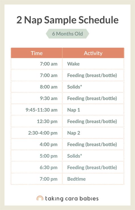 6 Month Sleep Schedule, 10 Month Old Schedule, 7 Month Old Sleep, 6 Month Old Sleep, Taking Cara Babies, Wake Windows, Sleep Regressions, Uppfostra Barn, Moms On Call