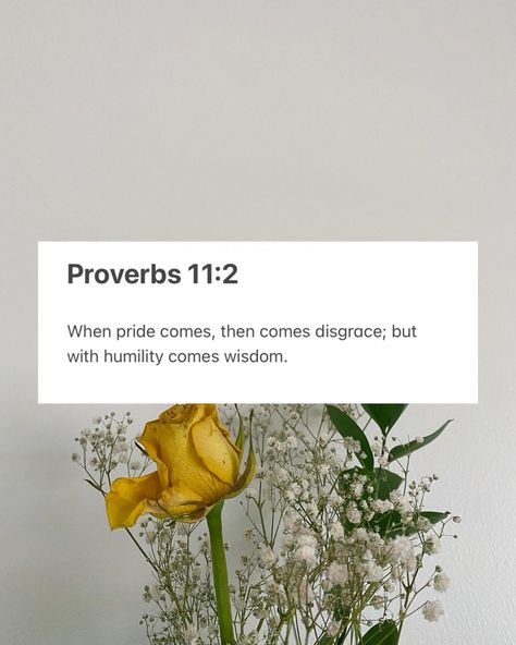 When pride comes, then comes disgrace; but with humility comes wisdom. Bible Verse About Humility, Pride Verses, Pride Bible Verses, Psalm 119 11, Ipad Ideas, Quotes Prayer, Psalm 119, Bible Quotes Prayer, Verse Of The Day