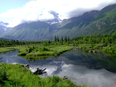 Eagle River, Alaska. Alaska Rainforest, Alaska Fishing Trip, River Hotel, Eagle River Alaska, Fishing Alaska, Bald Eagles In Alaska, Alaska Photos, Anchorage Alaska, Breathtaking Places