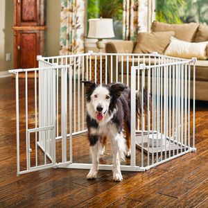 Play Pen, Pet Resort, Pet Boarding, In The Zone, Play Yard, Live Fish, Wild Bird Food, Pet Gate, Dog Daycare