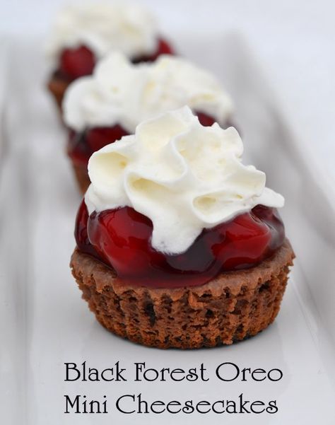 black forest oreo mini cheesecakes Jam Jam Cookies, Black Forest Cheesecake Recipe, Mini Cheesecakes Recipe, Mini Cheesecake Recipes, Festive Desserts, Cherry Pie Filling, Mini Cheesecakes, Fun Easy Recipes, Chocolate Cheesecake