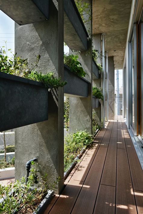 Idea 1840853: House in Yatomigaoka by TSC architects in Japan Green House Exterior Plants, Green Buildings Architecture, Green Space Architecture, Open Space Design, Green Building Architecture, Green Building Design, Living Architecture, Green House Design, Green Living Room