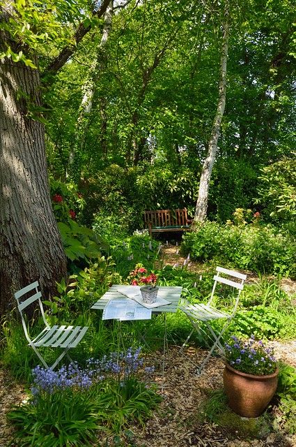 Modern Garden Design, Have Inspiration, Woodland Garden, Gorgeous Gardens, The Secret Garden, Country Gardening, Garden Cottage, Garden Spaces, Shade Garden