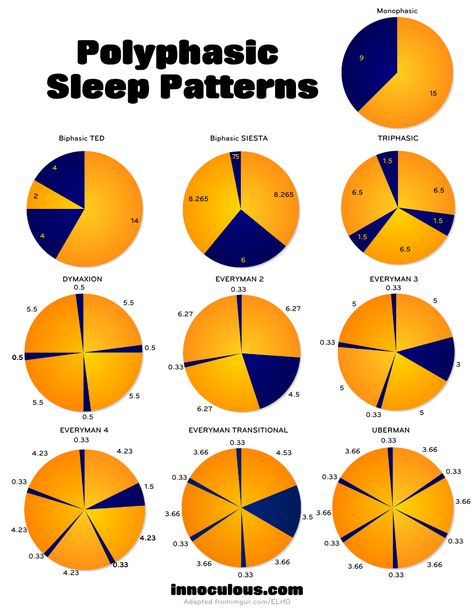 Polyphasic Sleep, 4 Hours Of Sleep, Colors 2023, Effective Study Tips, Sleep Funny, Dream Symbols, Sleep Schedule, Sleep Cycle, Sleeping Positions