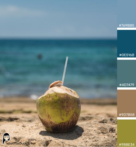 Coconut Color Palette, Ocean Color Palette, Coconut Drink, Coconut Drinks, Color Schemes Colour Palettes, Ocean Colors, By The Ocean, Ui Design Inspiration, Colour Palettes