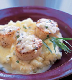 Scallops with Mashed Potatoes with Tarragon Sauce Dynamite Scallop Recipe, Scallops With Celery Root Puree, Tarragon Sauce Recipes, Seafood Sauces, Patagonian Scallops Recipe, Scallops Luxe In Saffron Cream Sauce, Patagonian Scallops, Pescetarian Diet, Tarragon Sauce