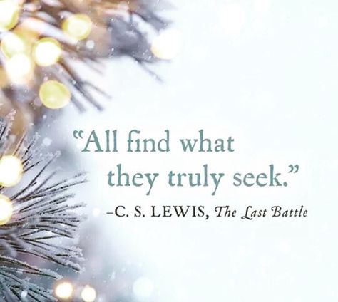 "All find what they truly seek." CS Lewis.  And that is both scary and liberating altogether. Quotes By Cs Lewis, Cs Go Memes, Narnia Quotes, Lewis Quotes, Cs Lewis Quotes, The Chronicles Of Narnia, C S Lewis, Cs Lewis, Chronicles Of Narnia