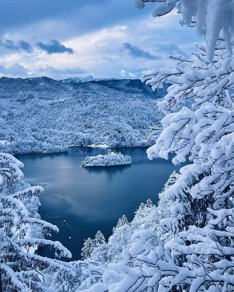 Lake Bled ~ Slovenia 🇸🇮 Lake Bled Slovenia, Bled Slovenia, Lake Bled, Winter Scenery, Slovenia, Lake, Pins