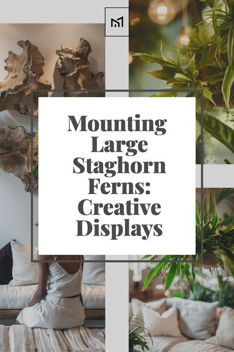 Showcase your large staghorn ferns with imaginative mounting techniques. Explore options like hanging them on wooden boards, mounting them on driftwood, or displaying them in decorative baskets or planters for a unique and eye-catching presentation. Staghorn Fern Hanging Ideas, Mounting Staghorn Fern Diy, Elkhorn Fern Mount Ideas, How To Mount A Staghorn Fern, Stag Horn Fern Mount Ideas, Staghorn Fern Mount Ideas, Creative Display Ideas, Staghorn Fern Mount, Elkhorn Fern