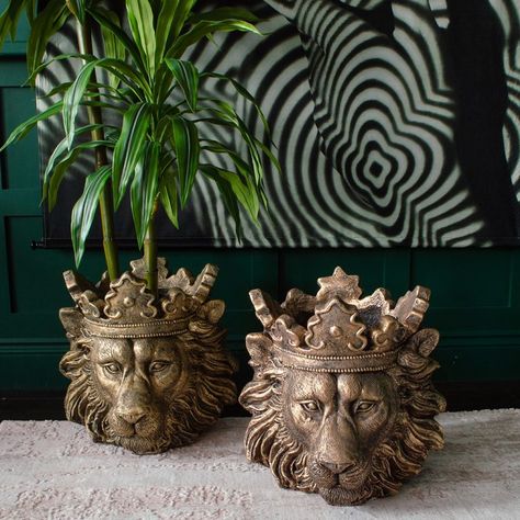 Tiger Pics, Home Greenery, Quirky Homeware, Majestic Lion, Unusual Home, Elephant Trunk, Unusual Homes, Plant Spacing, Decorative Pots