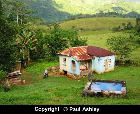 Traditional  Jamaican house Jamaican Countryside, Tropical Cottage, Living In Jamaica, Jamaican Art, Trini Food, Caribbean Homes, Jamaican Culture, Caribbean Culture, Jamaica Travel