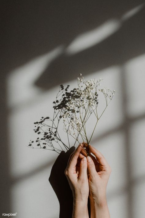 Woman holding white flowers on a gray background | premium image by rawpixel.com / McKinsey 29 Aesthetic, Hands Holding Flowers, Photo Of Woman, Look Wallpaper, Wallpaper Estetika, Flowers Aesthetic, Holding Flowers, Picture Collage Wall, Gray Aesthetic