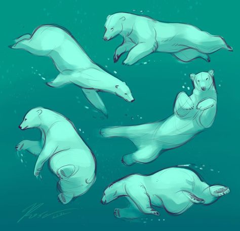 Polar Bear Underwater, Wolf Swimming, Polar Bears Drawing, Polar Bear Aesthetic, Bear Poses, Polar Bear Paws, Polar Bear Character, Polar Bear Swimming, Artbook Design