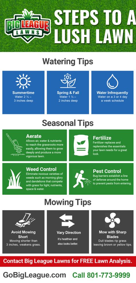 Here are a few tips to help you have the best lawn in your neighborhood! Lawn Maintenance Tips, New House Landscaping, Week Schedule, Lawn Fertilizer, Lawn Care Tips, Lush Lawn, Lawn Maintenance, House Landscaping, Spring Water