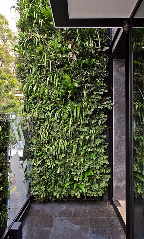 Check out these contemporary city gardens for tons of tight ideas for small outdoor spaces Vertical Green Wall, Vertical Garden Plants, Vertical Garden Design, Tropical Garden Design, Vertical Vegetable Garden, Vertical Garden Wall, Vertical Garden Diy, Walled Garden, Wall Garden