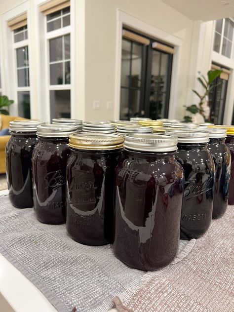 homemade grape juice How To Make Grape Juice From Grapes, Grape Juice Canning Recipe, Canning Grape Juice, Homemade Grape Juice, Grape Juice Recipe, Steam Juicer, Can Jam, Canning Lids, Idea Room