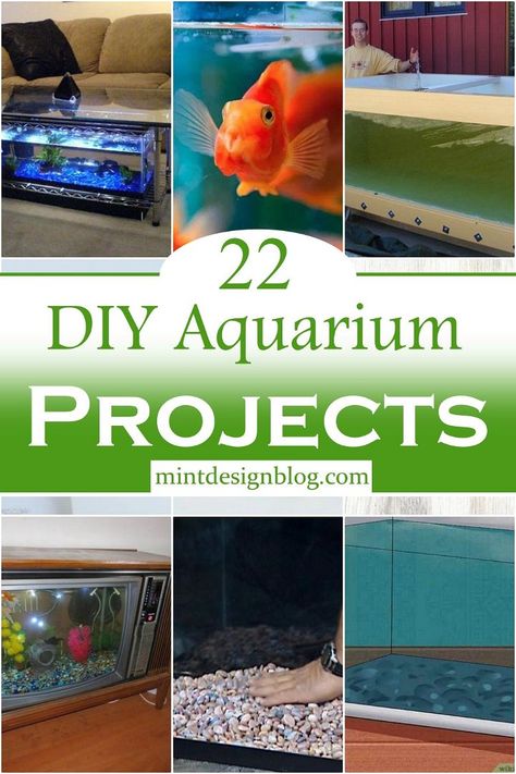 Diy Aquarium Background, Diy Aquarium Decor, Homemade Aquarium, Kids Aquarium, Large Fish Tanks, Wall Aquarium, Acrylic Aquarium, Diy Fish Tank, Fall Preschool Activities