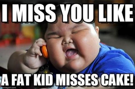 101 I miss you memes - "I miss you like a fat kid misses cake!" Ate Too Much, My Birthday, I Miss You, Miss You, Too Much, Happy Birthday, Cake, Memes, Birthday