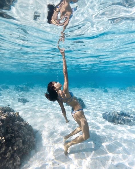 Looking to start your freediving journey? 👇 📸 @lgc_photographer Dive into our FREE eBook! Perfect for beginners, our guide covers all the essentials—from mastering breath control to important safety tips. Get everything you need to make your start easy and exciting. #freediving #freedivinglife #freedive #freedivinggirls #freedivinggirl #ocean #nature #dive #blue #adventure #travel #traveler #travellife #travelgram #shedivesexplore Diving Pose, Free Dive, Ocean Nature, Inspirational Life Photos, Free Diving, Underwater Photos, Water Photography, Nautical Art, Salt Life