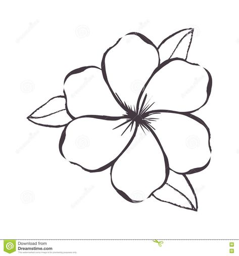 Hawiian Flower Tattoo, Hawaiian Flower Drawing, Girl Flower Tattoos, Violet Flower Tattoos, Iris Flower Tattoo, Hawaiian Flower Tattoos, Tiny Flower Tattoos, Plant Sketches, Dibujo Simple