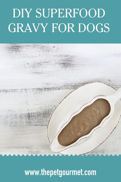 Don't leave your dog out on all the delicious food this Thanksgiving! We have an easy Superfood Gravy Recipe for you to top your dog's The Pet Gourmet food with! This way, you'll be right on top of their grateful list! I'm sure you always are but let's just guarantee it! Homemade Gravy For Dog Food, Dog Friendly Gravy, Healthy Dog Gravy Recipe, Diy Dog Gravy, Gravy For Dog Food, Gravy For Dogs Homemade, Dog Food Gravy Recipe, Gravy For Dogs, Simple Gravy Recipe