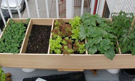 garden-bed-book-case Old Bookshelf, Apartment Patio Gardens, Old Bookshelves, Apartment Patio, Apartment Garden, Green Garden, Veggie Garden, Balcony Garden, Raised Garden