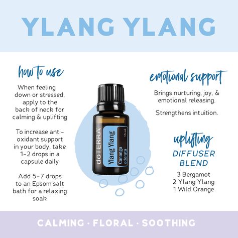 How To Use Ylang Ylang Essential Oil, Doterra Ylang Ylang Diffuser Blends, Yang Ylang Essential Oil Uses, Ylang Ylang Essential Oil Uses, Ylang Ylang Benefits, Ylang Ylang Diffuser Blends, Doterra Ylang Ylang, Ylang Ylang Essential Oil Benefits, Essential Oil Spray Recipes