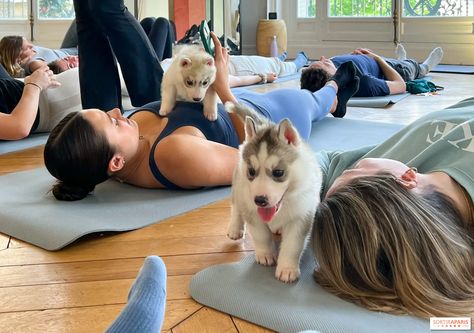 Yoga With Puppies, Puppy Yoga Aesthetic, Puppy Yoga, Holistic Spa, Cute Pups, Yoga Dog, Pawsitive Vibes, Spa Store, Yoga Images