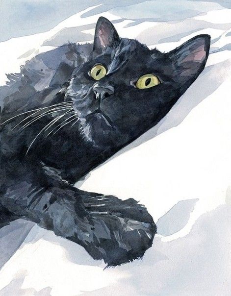 Black Cat Drawing, Custom Cat Portrait, Black Cat Art, Image Painting, A Black Cat, Cat Artwork, Watercolor Cat, Cat Portraits, Cat Painting