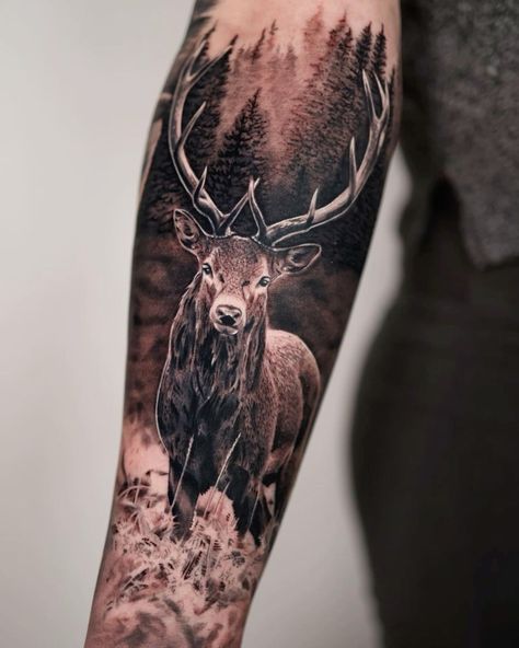 Stag Tattoo Forearm, Hunting Theme Tattoo, Deer In Forest Tattoo, Stag Tattoo Design Men, Fallow Deer Tattoo, Deer Forearm Tattoo, Deer Mountain Tattoo, Hunting Forearm Tattoos, Vikings Reference