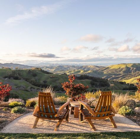 Lawn Activities, California Wineries, Paso Robles Wineries, California Winery, Sky Nails, Family Estate, Wine Country California, California Wine, Zinfandel