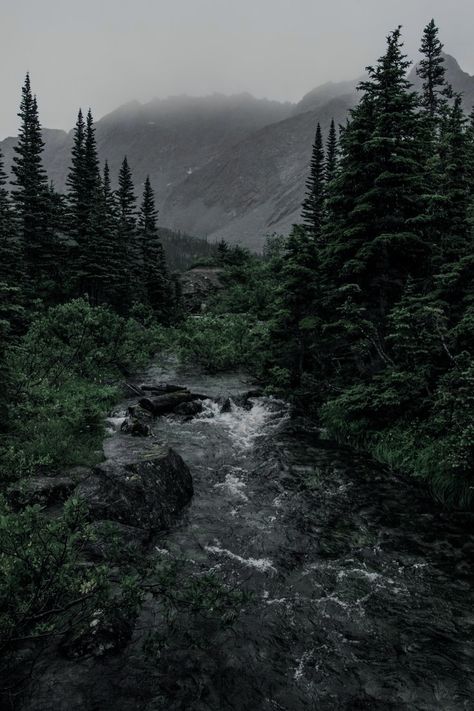 Seasonal Work, Mountain Trekking, Skagway Alaska, Dark Naturalism, Dark Forest Aesthetic, Couples Travel, Dark Landscape, Dark Green Aesthetic, Destinations Travel