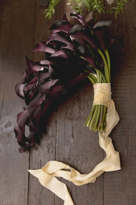 Purple Calla Lilies Wedding, Unusual Wedding Bouquets, Black Calla Lily, Purple Calla Lilies, Lilies Flowers, Gothic Flowers, Calla Lily Wedding, Calla Lily Bouquet, Gothic Bride