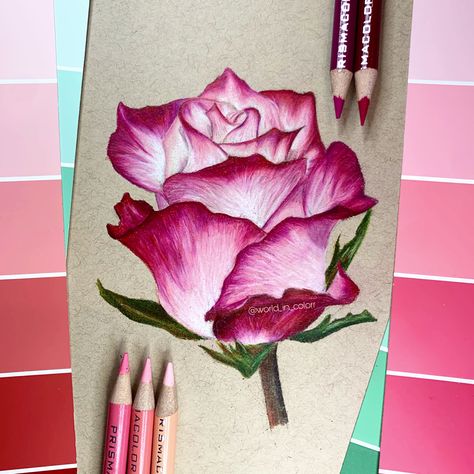 Rose drawjng by @world_in_colorr in ig #art #artistsoninstagram #artist #artwork #prismacolor #coloredpencilart #coloredpencildrawing Prismacolor Flowers, Flowers Drawing Realistic, Flower Drawing Design Colour, Drawing Prismacolor, Flower Colored Pencil Drawing, Prismacolor Art Realistic, Roses Drawing Color, Realistic Flower Drawing Color, Colouring Pencil Art