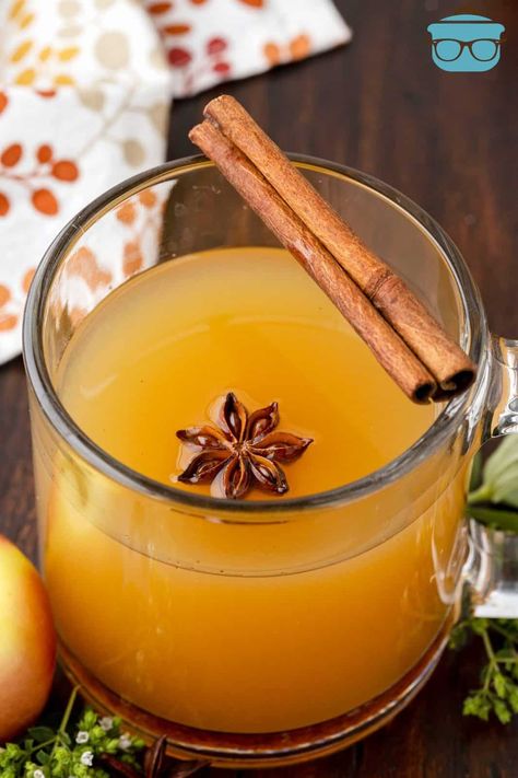 Warm Apple Cider Cocktail in glass with star anise and cinnamon stick on rim. Cider Cocktail Recipes, Cider Cocktail, Apple Cider Cocktail, Warm Apple Cider, Cider Cocktails, The Country Cook, Warm Apple, Fall Cocktails, Flavored Vodka