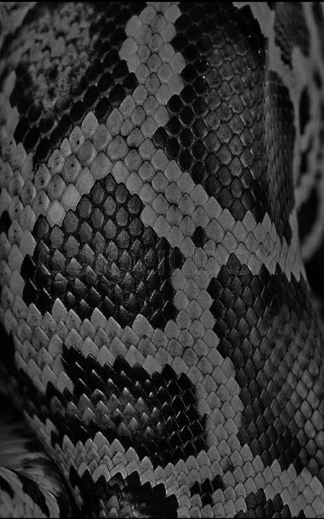 Snakeskin Wallpaper, Snake Drawing, Snake Wallpaper, Motion Wallpapers, Nature Iphone Wallpaper, Wallpaper Red, Witchy Wallpaper, Hd Wallpapers For Mobile, Samsung Galaxy Wallpaper