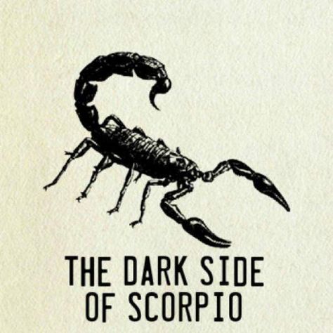 If you get long poison-pen messages saying the friendship or relationship is over, or darkly hinting that a mole on her neck has probably become a deadly melanoma, it's likely from your Scorpio friend... Self Destruct Tattoo, Scorpio Dark Side, Scorpio Wife, Zodiac Quotes Scorpio, Scorpio Zodiac Facts, Scorpio Quotes, Scorpio Horoscope, Scorpio Season, Scorpio Woman