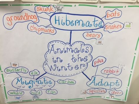 Winter Anchor Chart, Animals In The Winter, Hibernation Preschool Activities, Hibernation Preschool, Winter Kindergarten Activities, January Kindergarten, Second Grade Science, Winter Activities Preschool, Circle Map