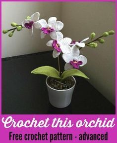 Crochet Orchid Pattern, Crochet Orchid, Cactus En Crochet, Crochet Plants, Orchid Pattern, Bouquet Crochet, Crochet Puff Flower, Beau Crochet, Crochet Garden