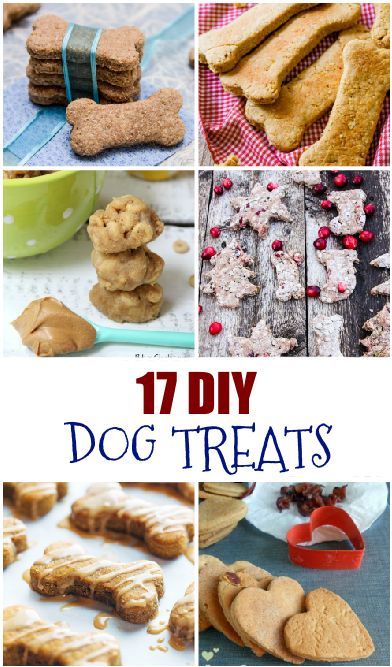 DIY Dog Treat Recipes and Gifts for Dog Lovers - Suburbia Unwrapped Diy Dog Gifts, Homemade Pet Treats, Homemade Dog Cookies, Diy Dog Food, Dog Biscuit Recipes, Healthy Dog Treats Homemade, Dog Treats Homemade Recipes, Dog Training Treats, Diy Dog Treats