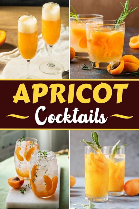 On the hunt for something sweet and fruity to add some pizazz to your next happy hour? Look no further than these stunning apricot cocktails! Apricot Drinks Recipes, Apricot Cocktail Drink Recipes, Apricot Liquor Cocktail Recipes, Apricot Liqueur Cocktails, Apricot Sour Cocktail, Apricot Brandy Cocktails, Apricot Cocktail, Asian Cocktail, Soda Drinks Recipes