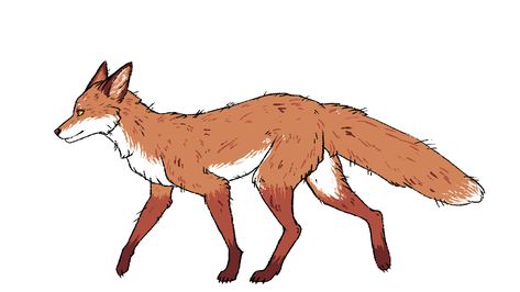 Fox Animation Gif, Fox Pixel Gif, Fox Walk Cycle, Fox Walking Drawing, Animal Walking Animation, Wolf Animation, Walk Cycle Animation, One Animation, Fox Walking