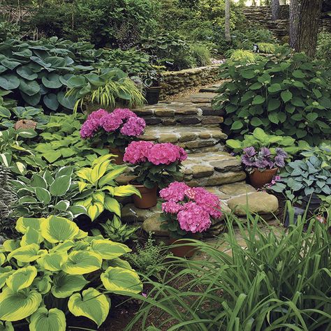 Japanese Garden On A Slope, Hillside Shade Garden, Hillside Pathway, Full Shade Garden, Sloped Landscaping, Sloping Gardens, Shade Landscape, Shade Garden Ideas, Tomatoes Plants Problems