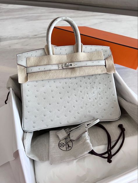 Hermes Ostrich Birkin, Ostrich Birkin, Birkin Kelly, Hermes Bags, Branded Handbags, Hermes Bag, Exclusive Bag, Luxury Accessories, Beautiful Packaging