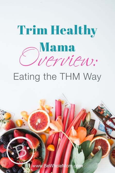 Trim Healthy Mama Meal Plan, Thm Meal Plans, Trim Healthy Mama Diet, Trim Healthy Recipes, Trim Healthy Mama Plan, Trim Healthy Momma, Healthy Food Guide, Trim Healthy Mama Recipes, Mama Recipe