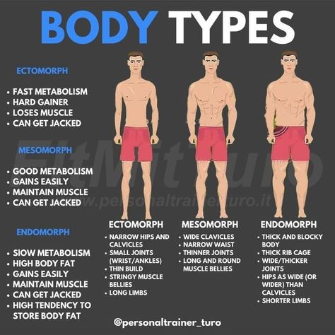 Gym Knowledge, Mens Body Types, Home Gym Exercises, Leg Training, Heavy Weight Lifting, Body Gym, Resistance Band Workout, Hiit Training, Best Home Gym